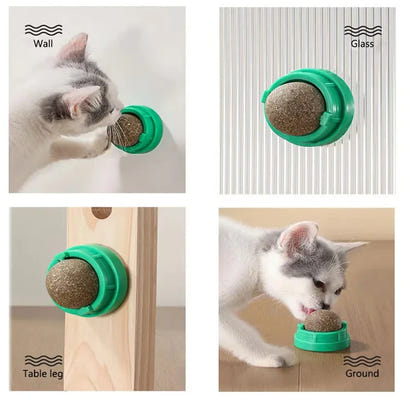 Catnip Wall Play & Scratch Toy™